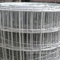 Rotolo di rete in rete saldato galvanizzato in PVC